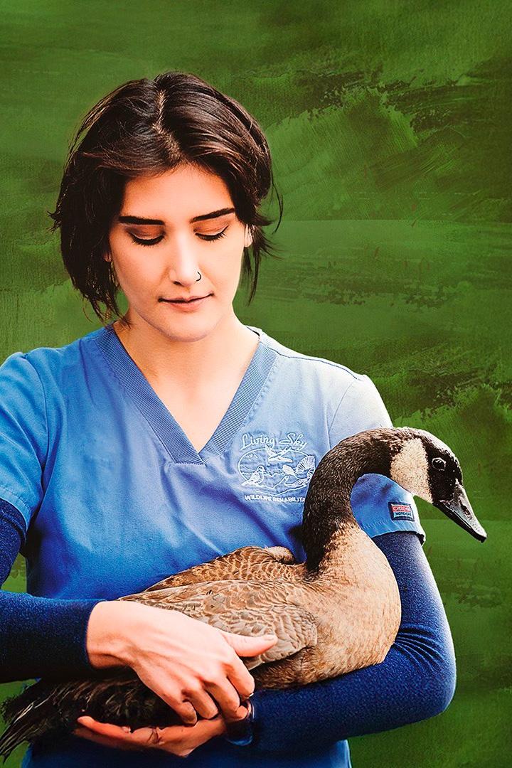Wildlife Rehab (wildlife-rehab) Документальный сериал