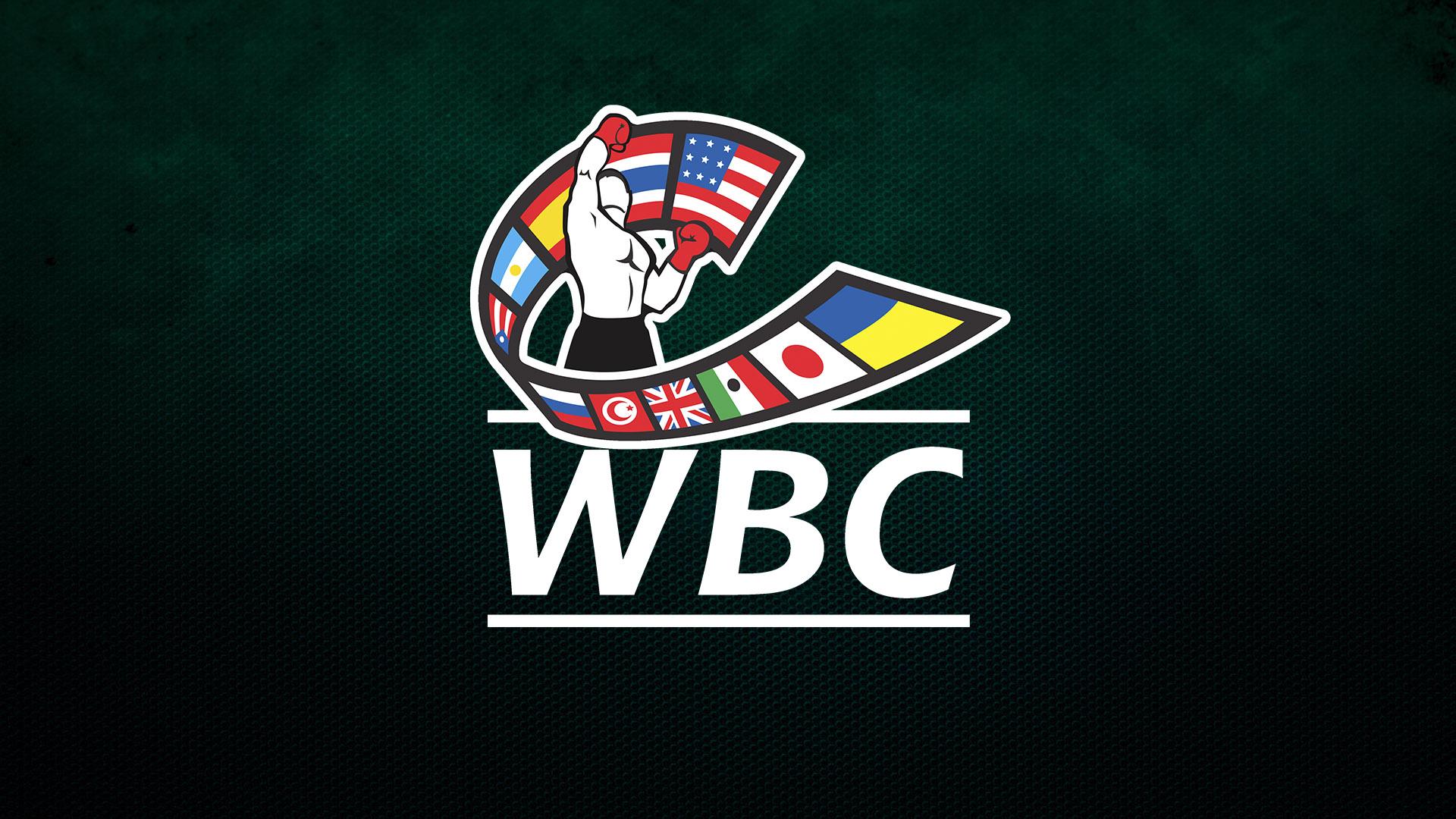 Отборочный поединок по версиям WBC и IBF в тяжелом весе Монти Барретт - Оуен Бек (otborochnyj-poedinok-po-versijam-wbc-i-ibf-v-tjazhelom-vese-monti-barrett-ouen-bek) Спорт