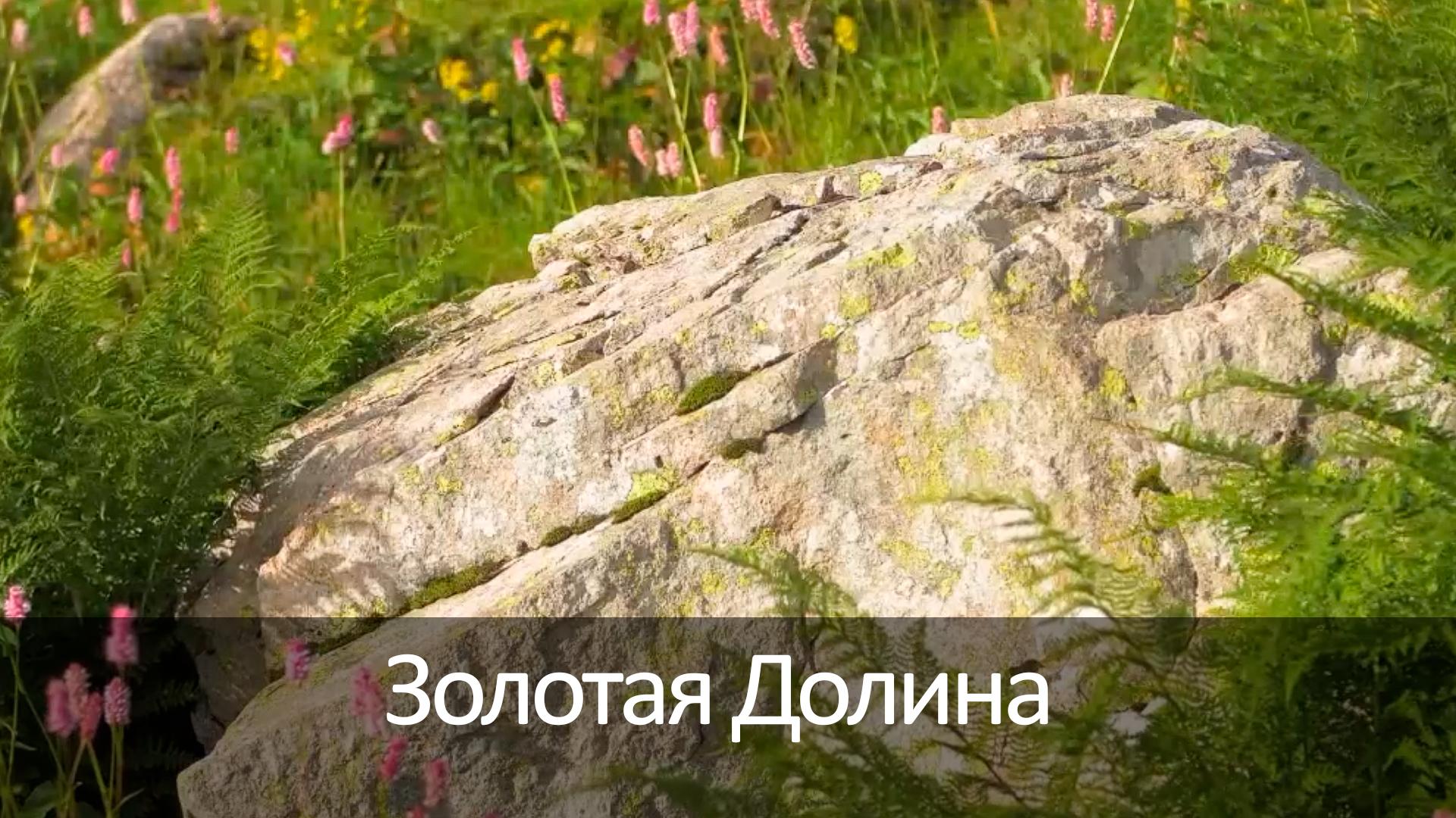 Золотая Долина (zolotaja-dolina) Досуг, хобби