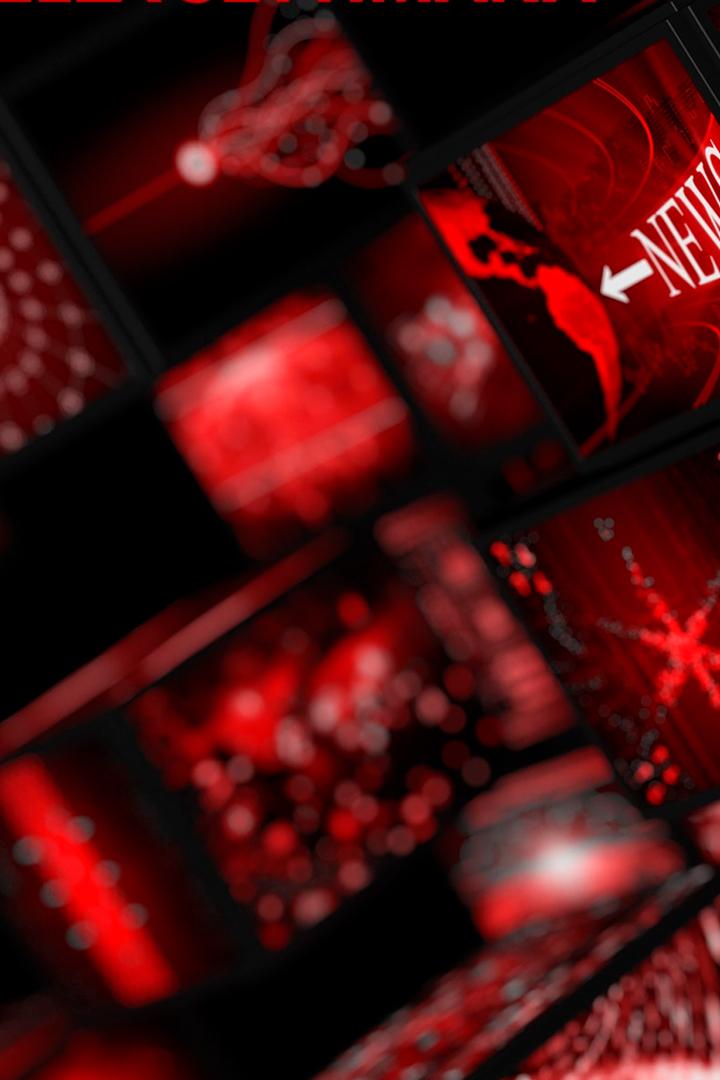 Tg2 — Storie (tg2-storie) Новости