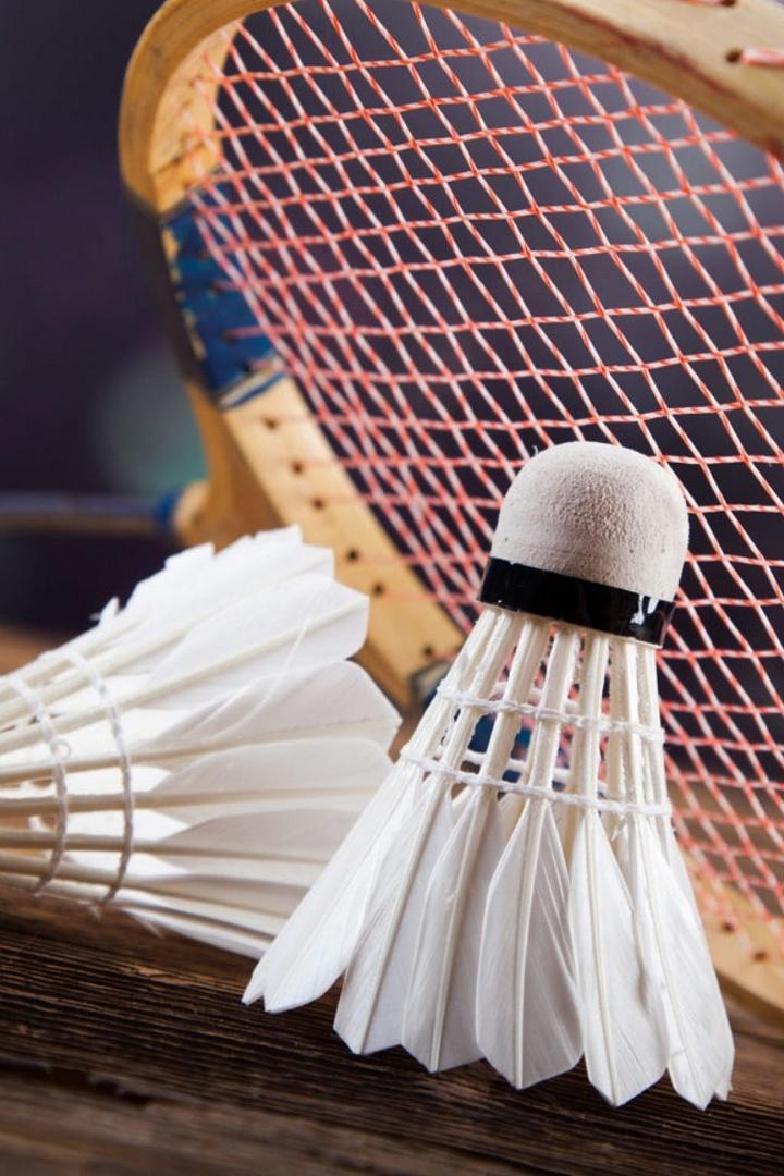 Бадминтон. Прочее. 2025 (badminton-prochee-2025) Досуг, хобби