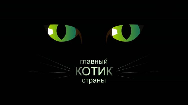 Постер Главный котик страны