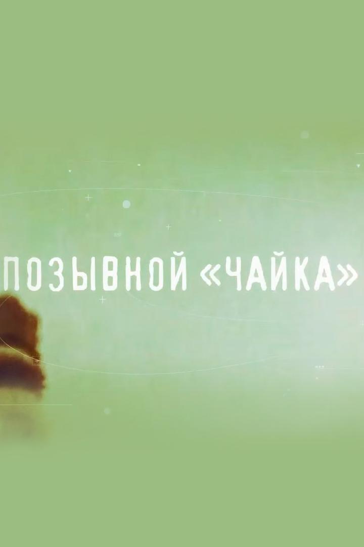 Позывной Чайка. В. Терешкова (pozyvnoj-chajka-v-tereshkova) Документальный фильм