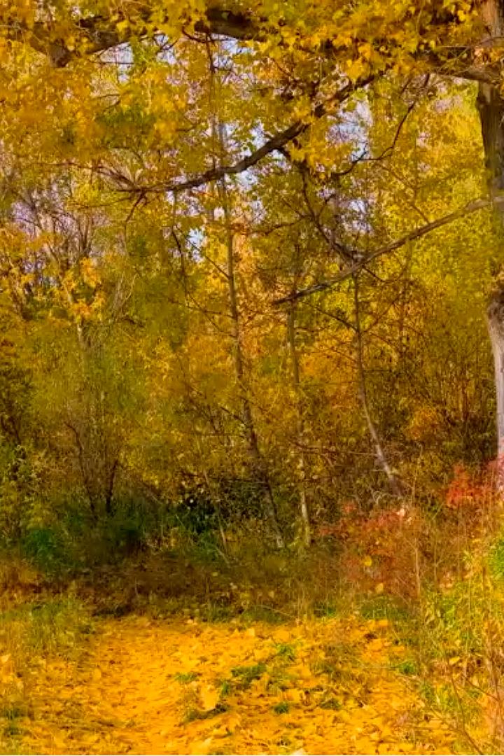 Бабье Лето (babe-leto) Досуг, хобби