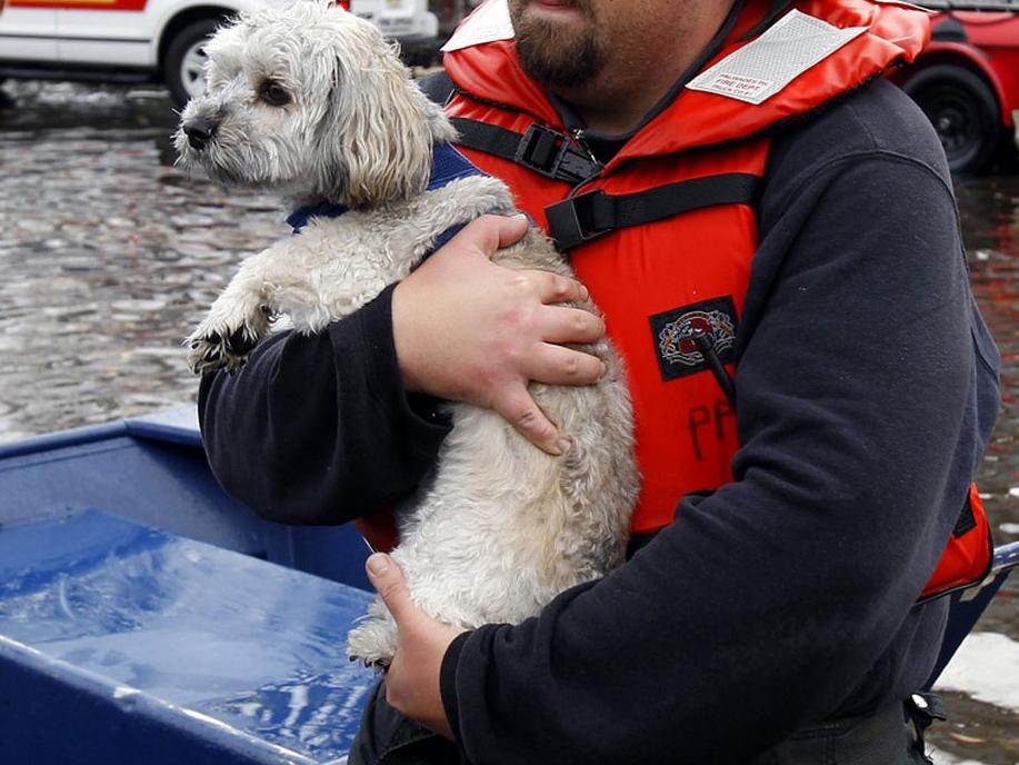 Спасение животных: ураган Харви (spasenie-zhivotnyh-uragan-harvi) Документальный фильм