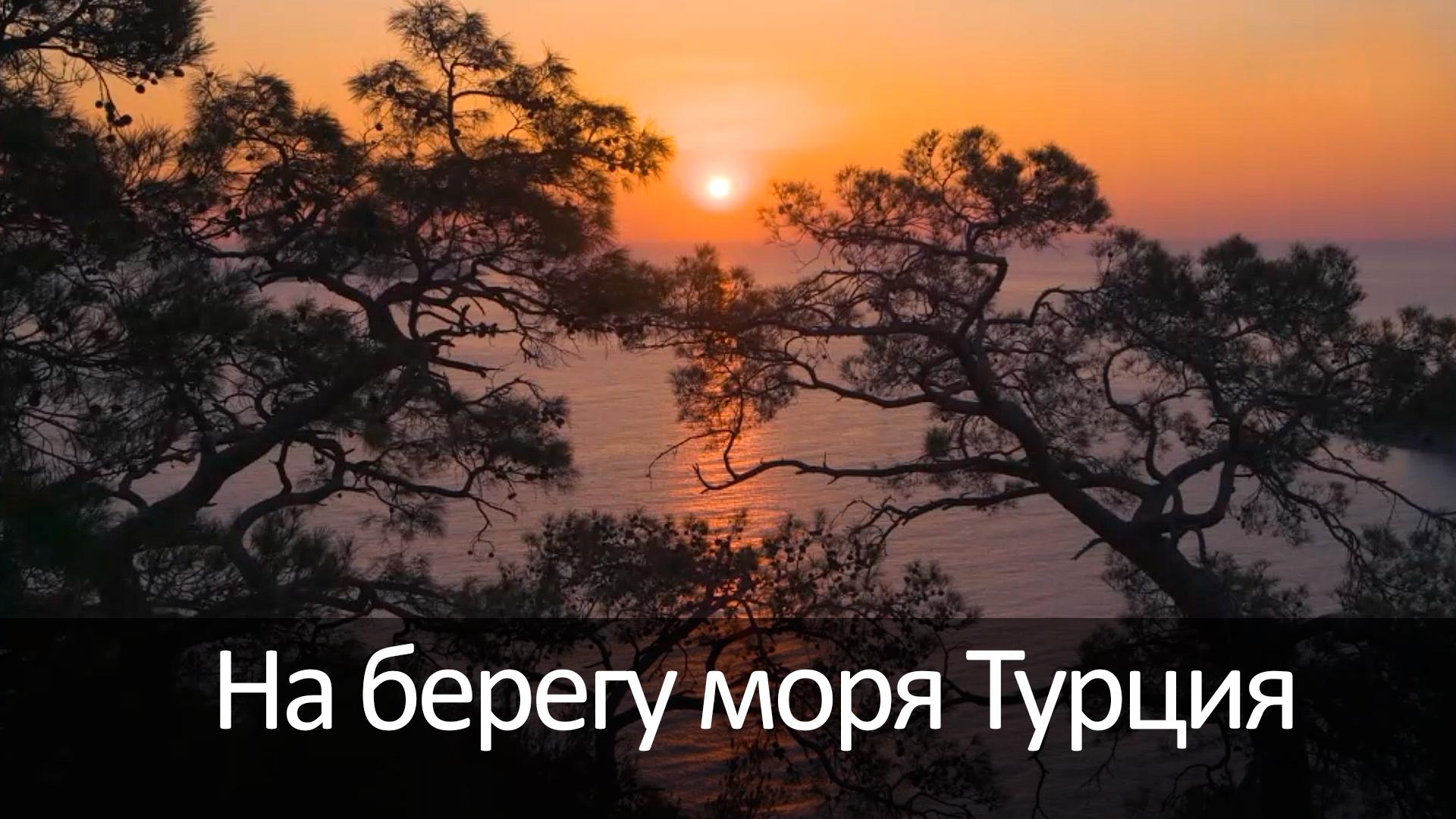 На берегу моря Турция (na-beregu-morja-turtsija) Досуг, хобби