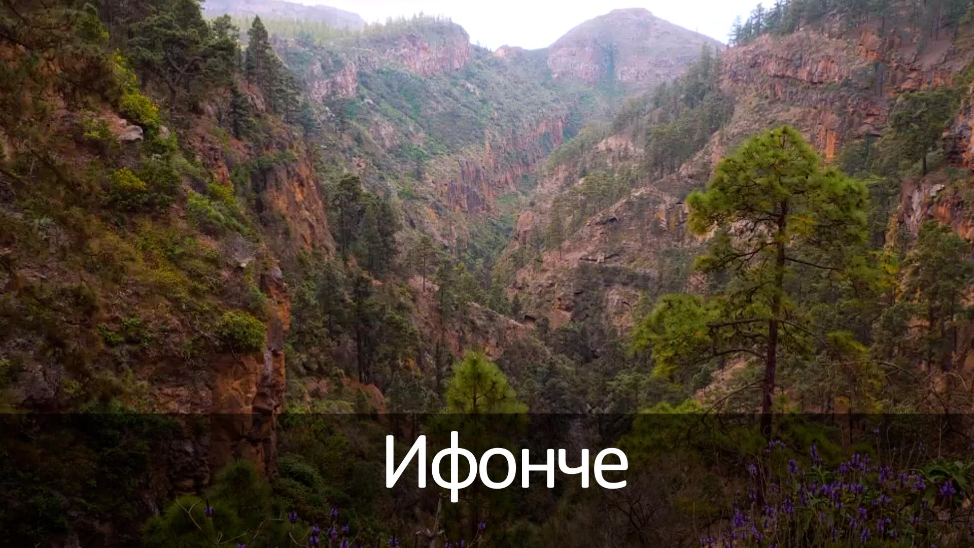 Ифонче (ifonche) Досуг, хобби