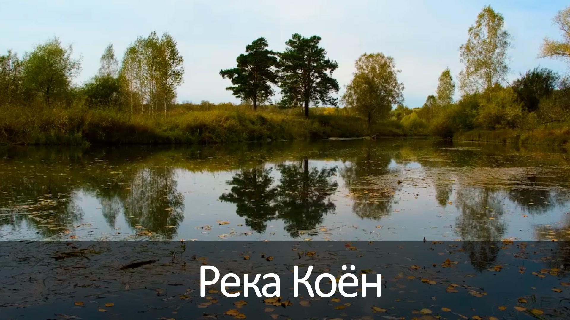 Река Коён (reka-koen) Досуг, хобби