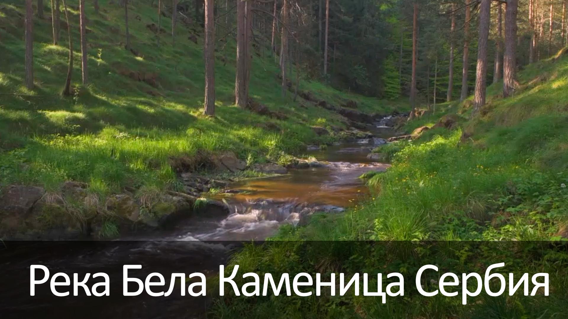 Река Бела Каменица Сербия (reka-bela-kamenitsa-serbija) Досуг, хобби