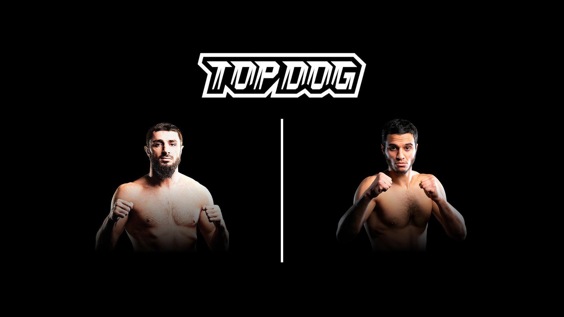 Top Dog FC 7. Шамиль Баширов vs Наим «Самурай» Давудов (top-dog-fc-7-shamil-bashirov-vs-naim-samuraj-davudov) Спорт