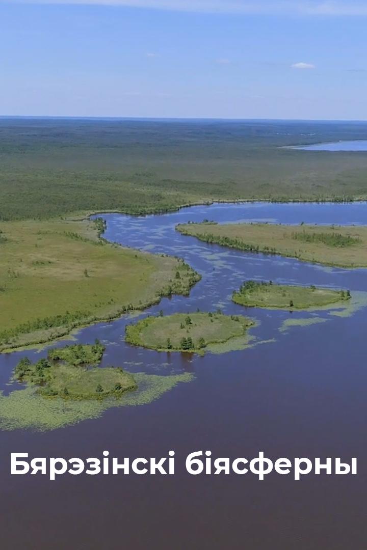Бярэзінскі біясферны (bjareznsk-bjasferny) Документальный фильм