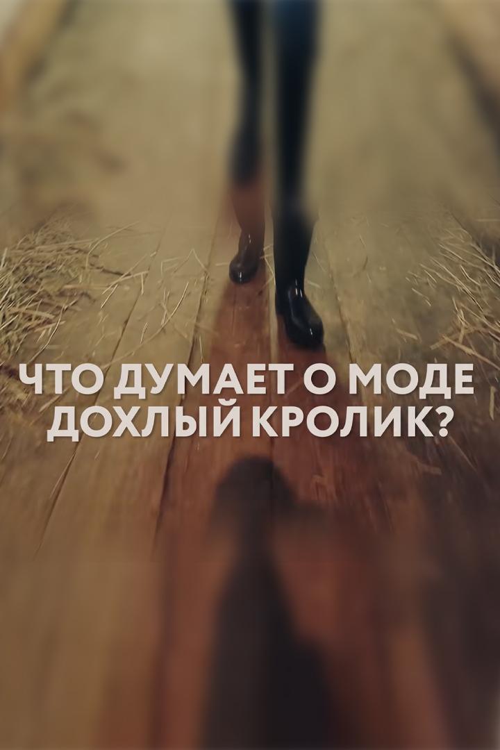 Что думает о моде дохлый кролик. (chto-dumaet-o-mode-dohlyj-krolik) Фильм