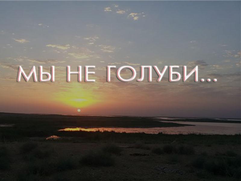 Мы не голуби (my-ne-golubi) Документальный фильм