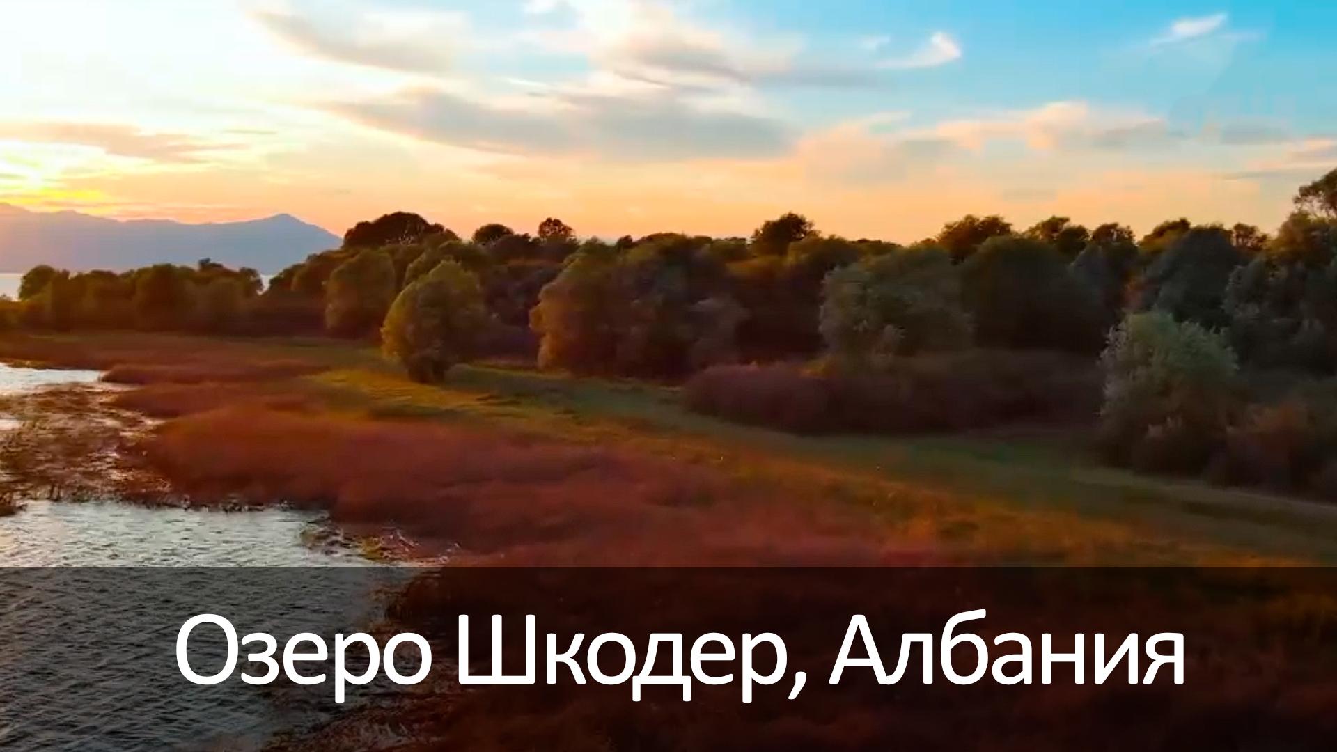 Озеро Шкодер, Албания (ozero-shkoder-albanija) Досуг, хобби