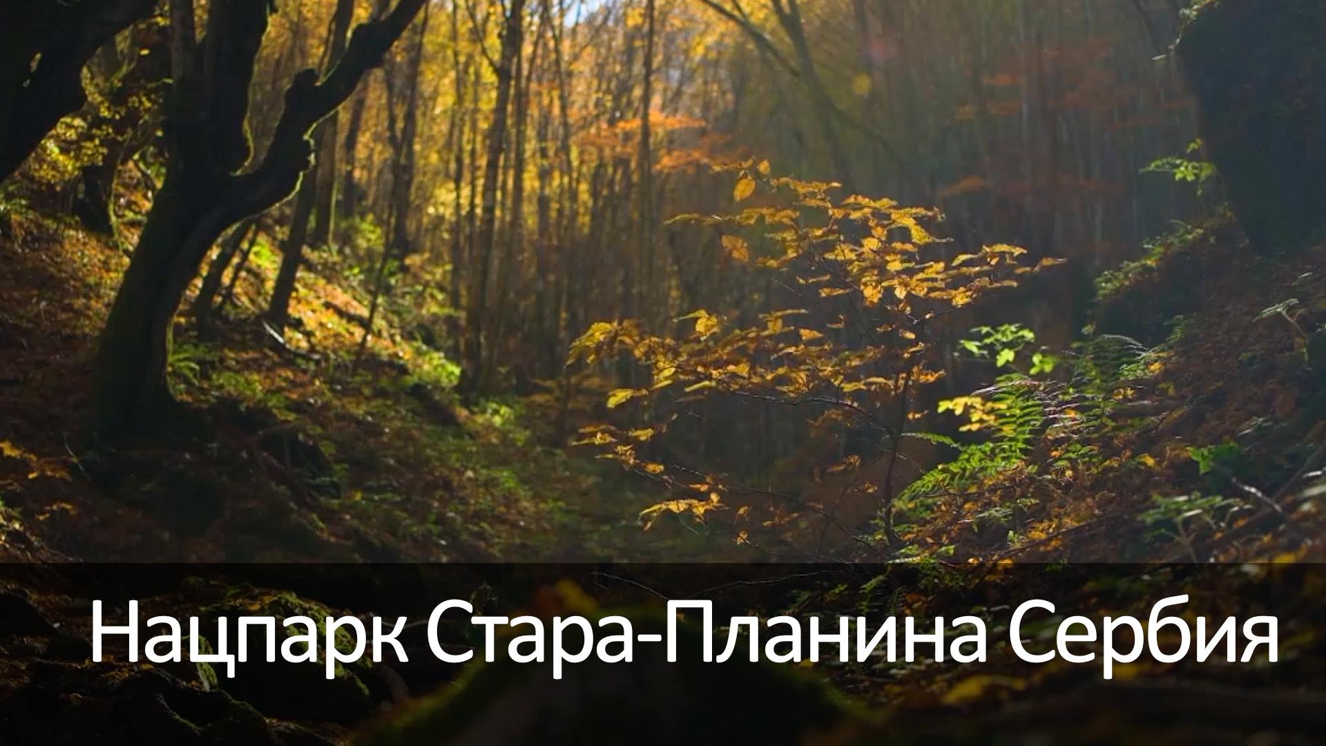 Нацпарк Стара-Планина Сербия (natspark-stara-planina-serbija) Досуг, хобби