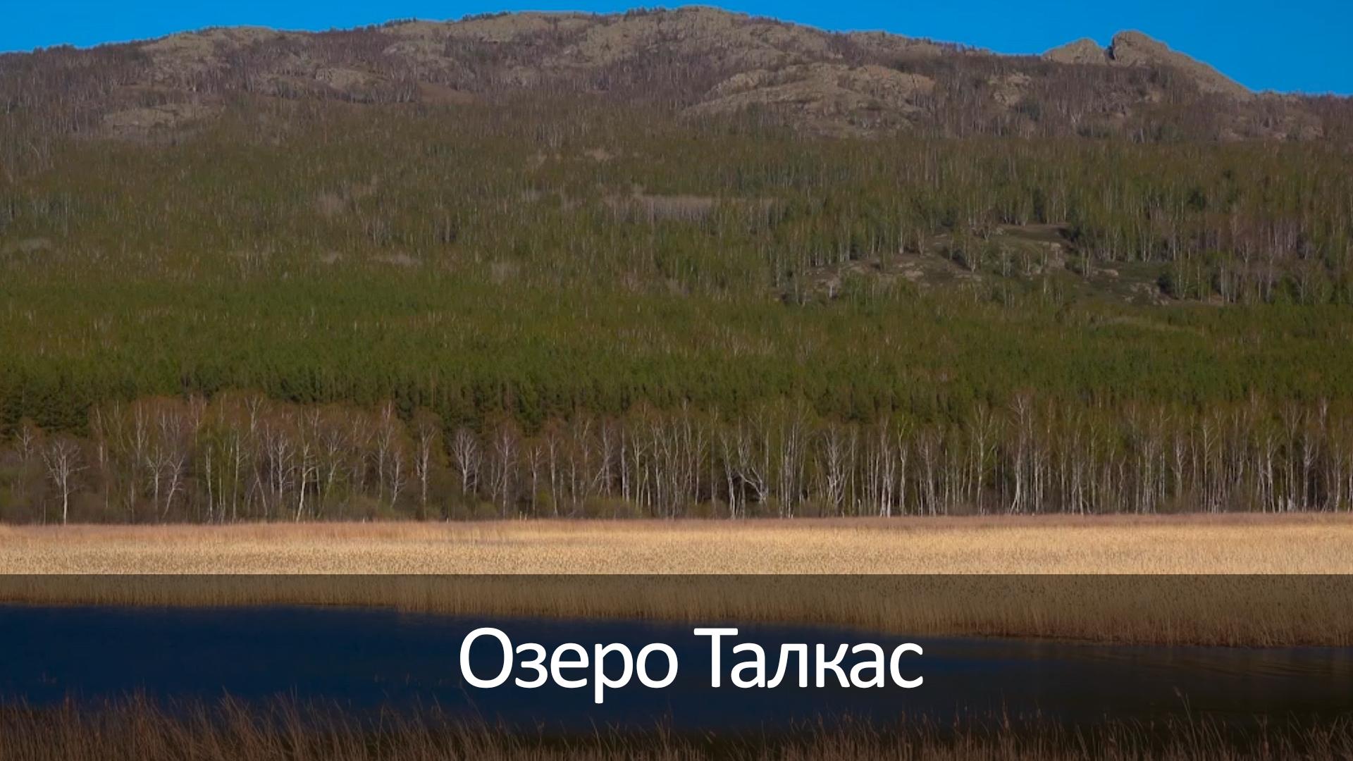 Озеро Талкас (ozero-talkas) Досуг, хобби
