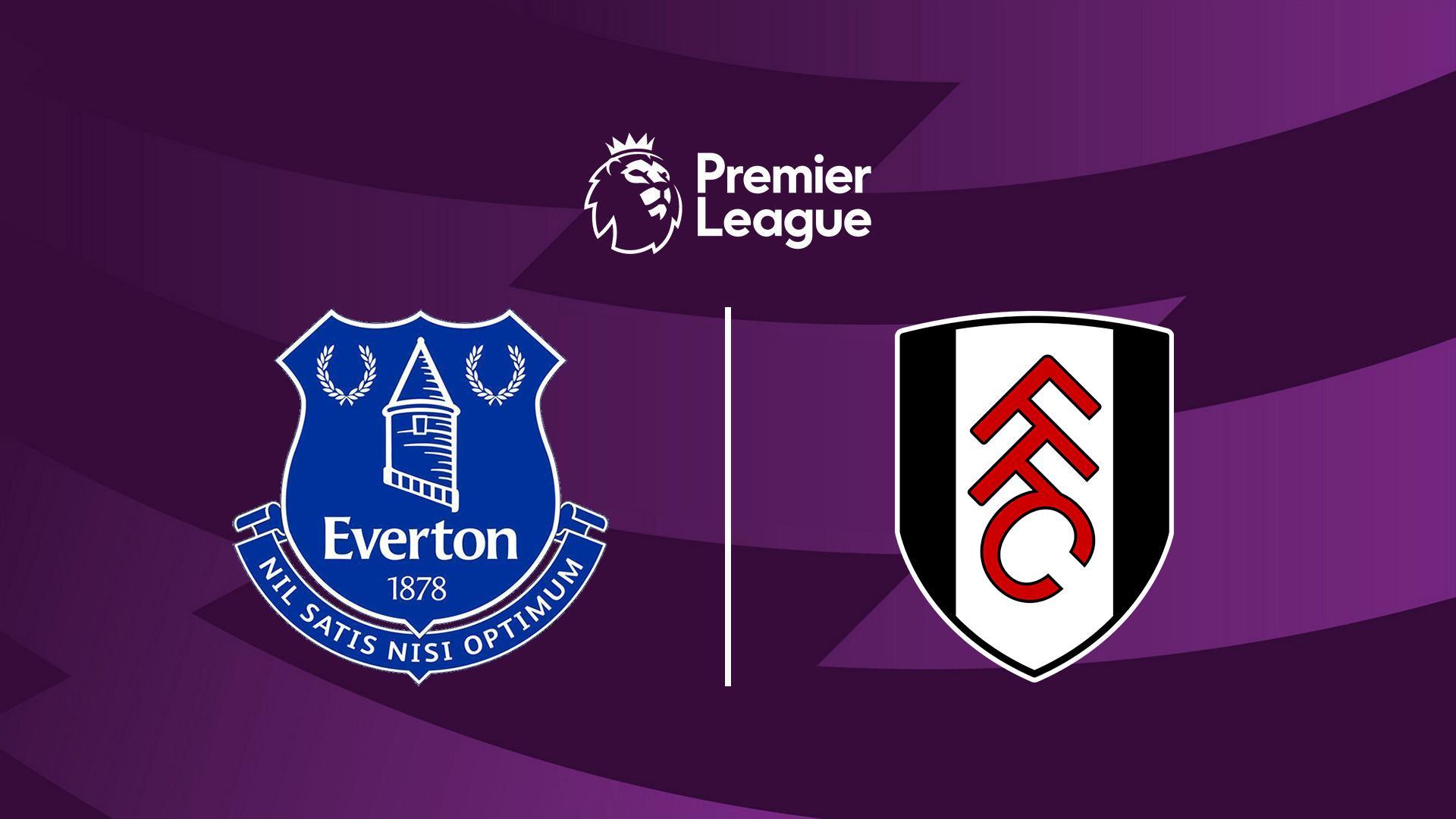 Футбол. Английская Премьер-лига. «Эвертон» - «Фулхэм» (futbol-anglijskaja-premer-liga-everton-fulhem) Спорт