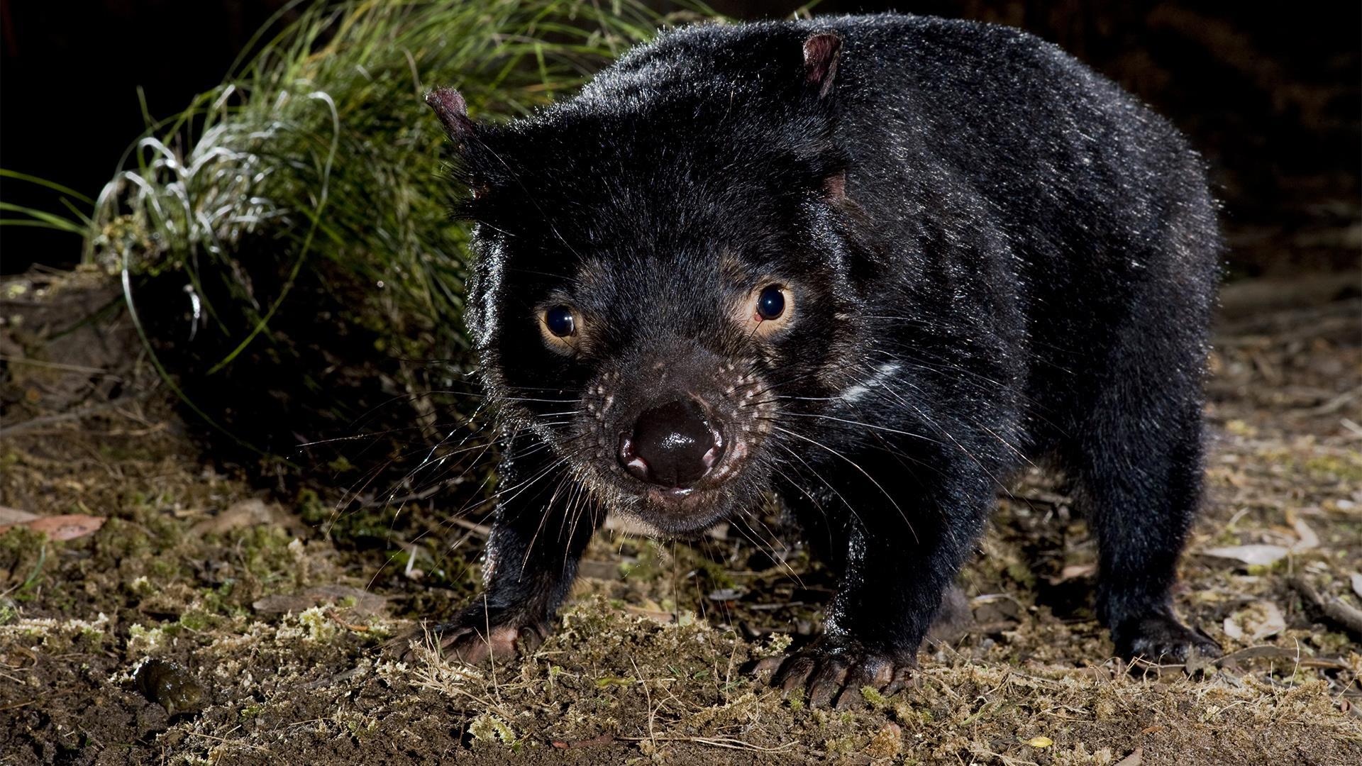 Важная миссия (vazhnaja-missija) Документальный сериал