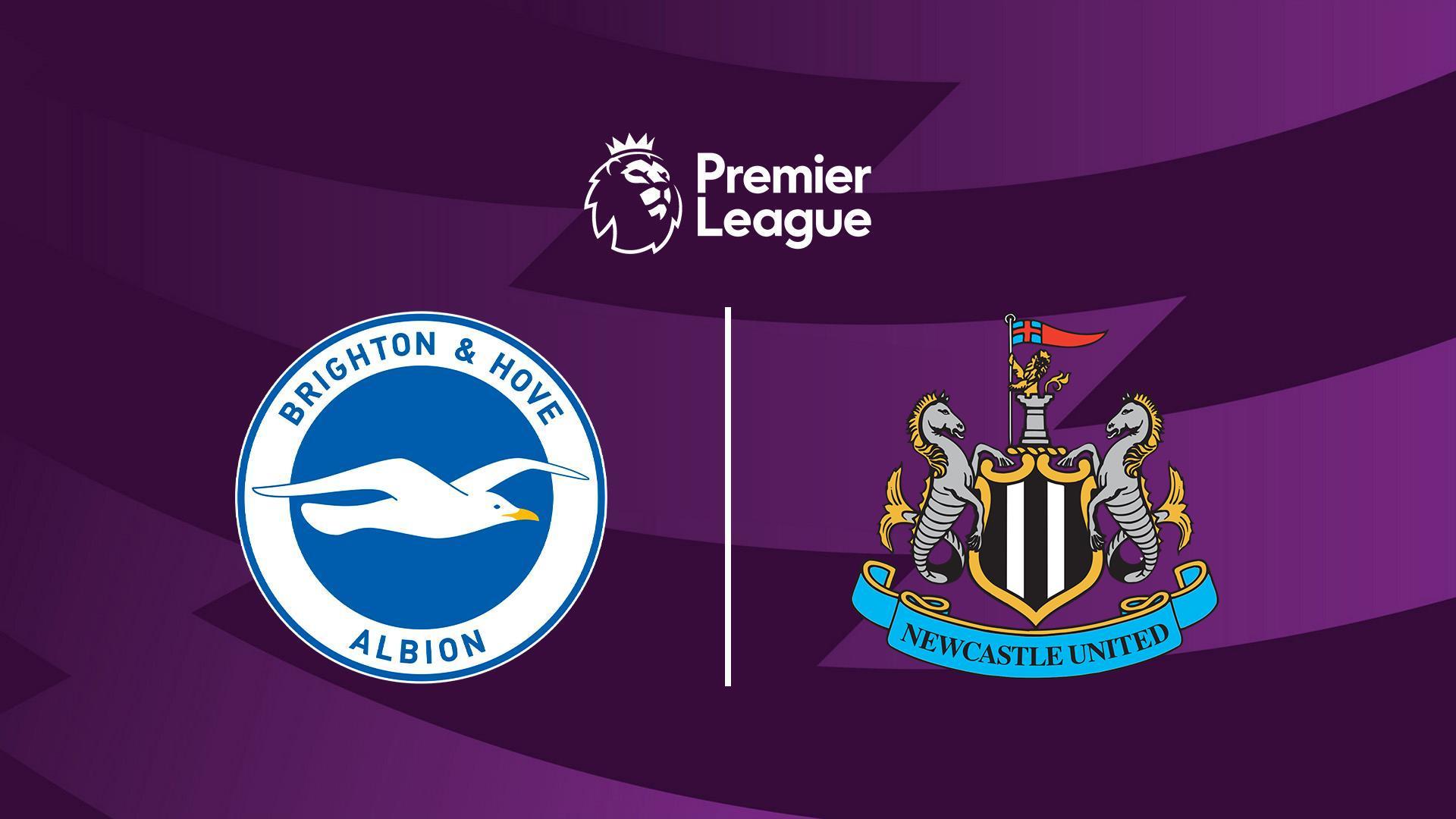 Brighton - Newcastle Engleska Liga Fudbal (brighton-newcastle-engleska-liga-fudbal) Спорт