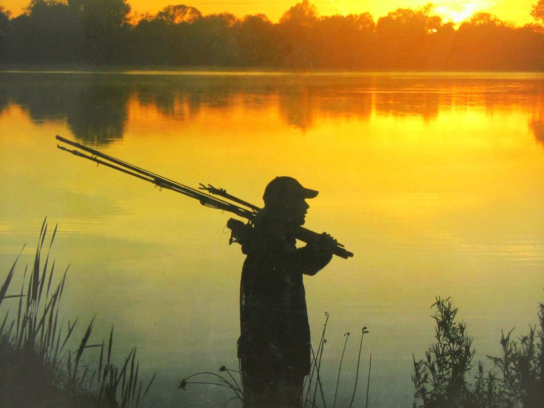 Поймать невозможное (pojmat-nevozmozhnoe) Познавательное