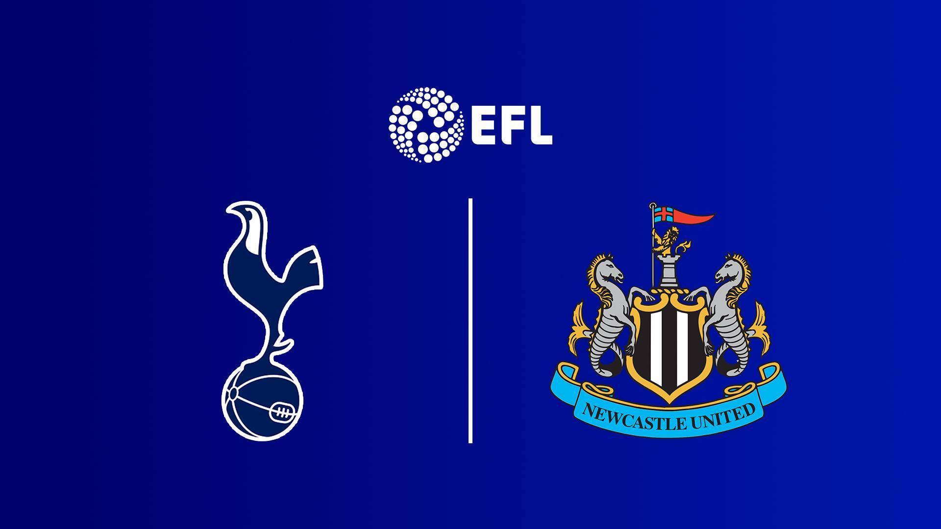 Engleska Liga Fudbal. Tottenham - Newcastle (engleska-liga-fudbal-tottenham-newcastle) Спорт