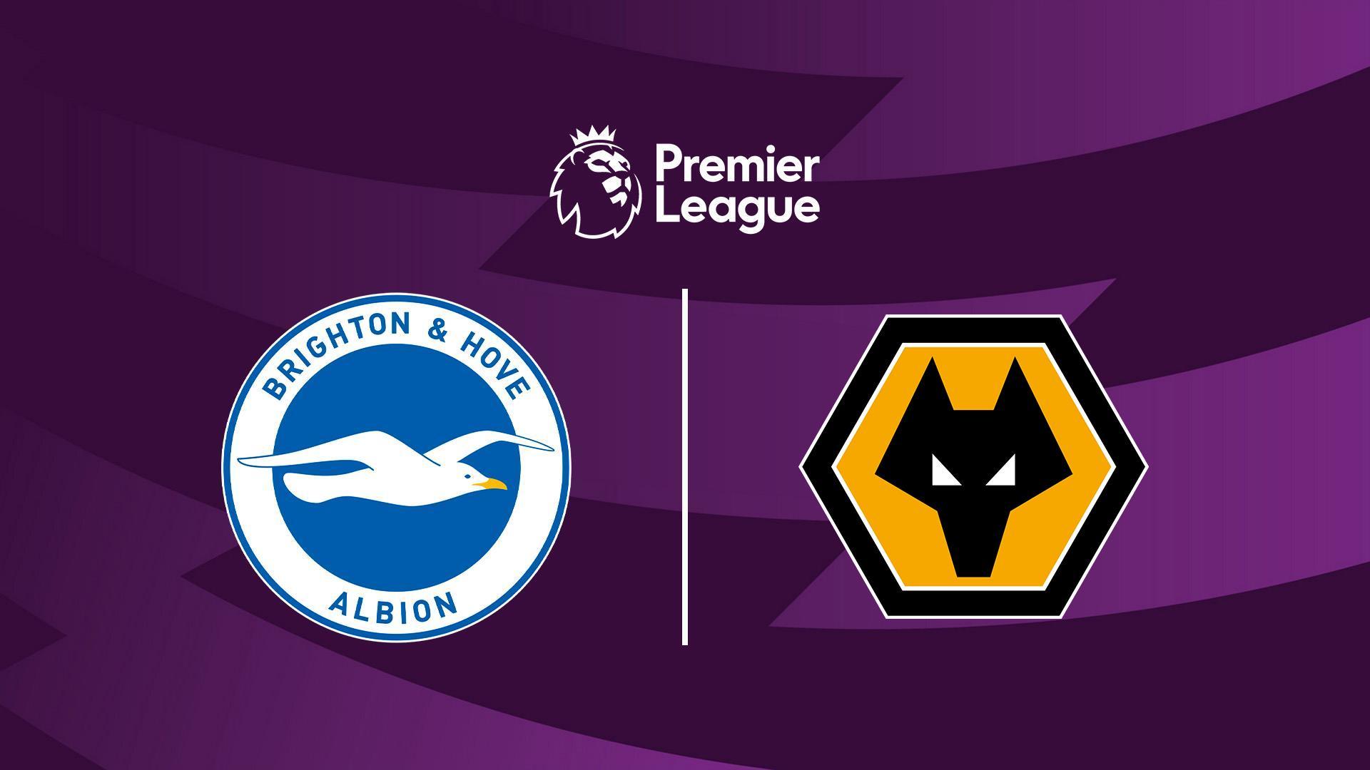 Brighton - Wolverhampton. Engleska Liga (brighton-wolverhampton-engleska-liga) Спорт