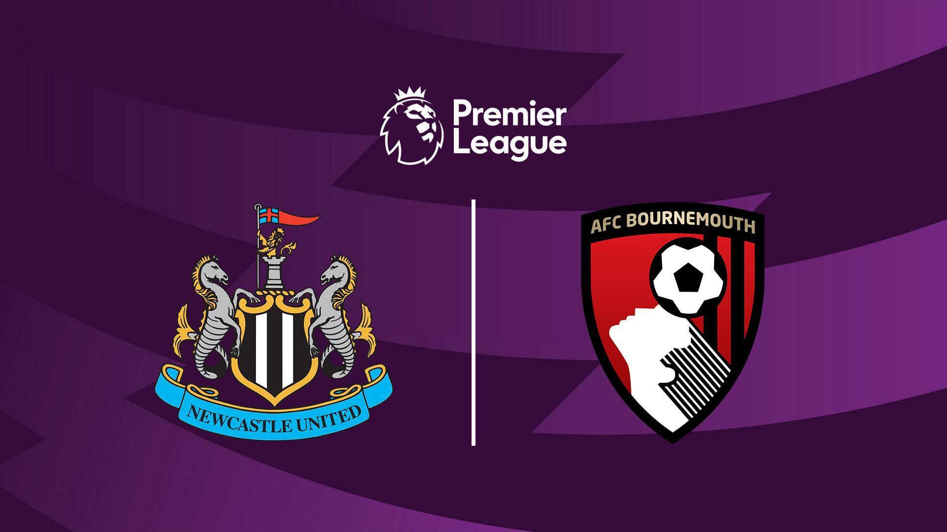 Премьер Лига: Ньюкасл - Борнмут (premer-liga-njukasl-bornmut) Спорт