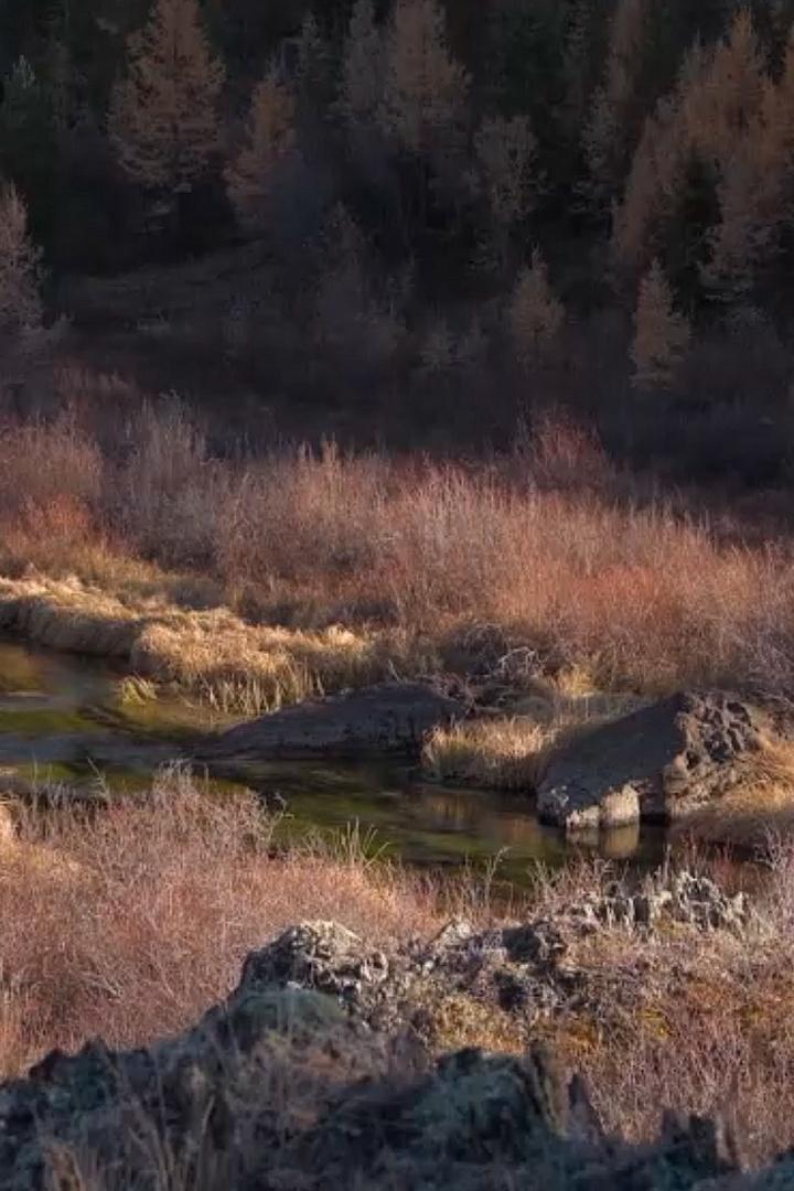 Озеро Ештыкель (ozero-eshtykel) Досуг, хобби