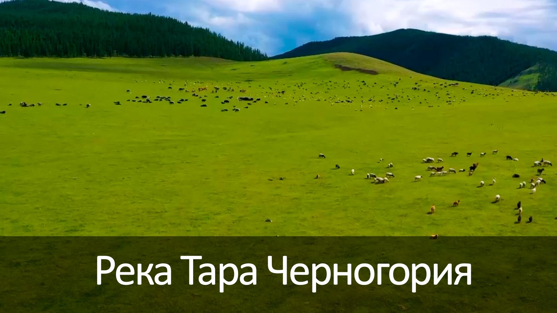Долина реки Орхон Монголия (dolina-reki-orhon-mongolija) Досуг, хобби