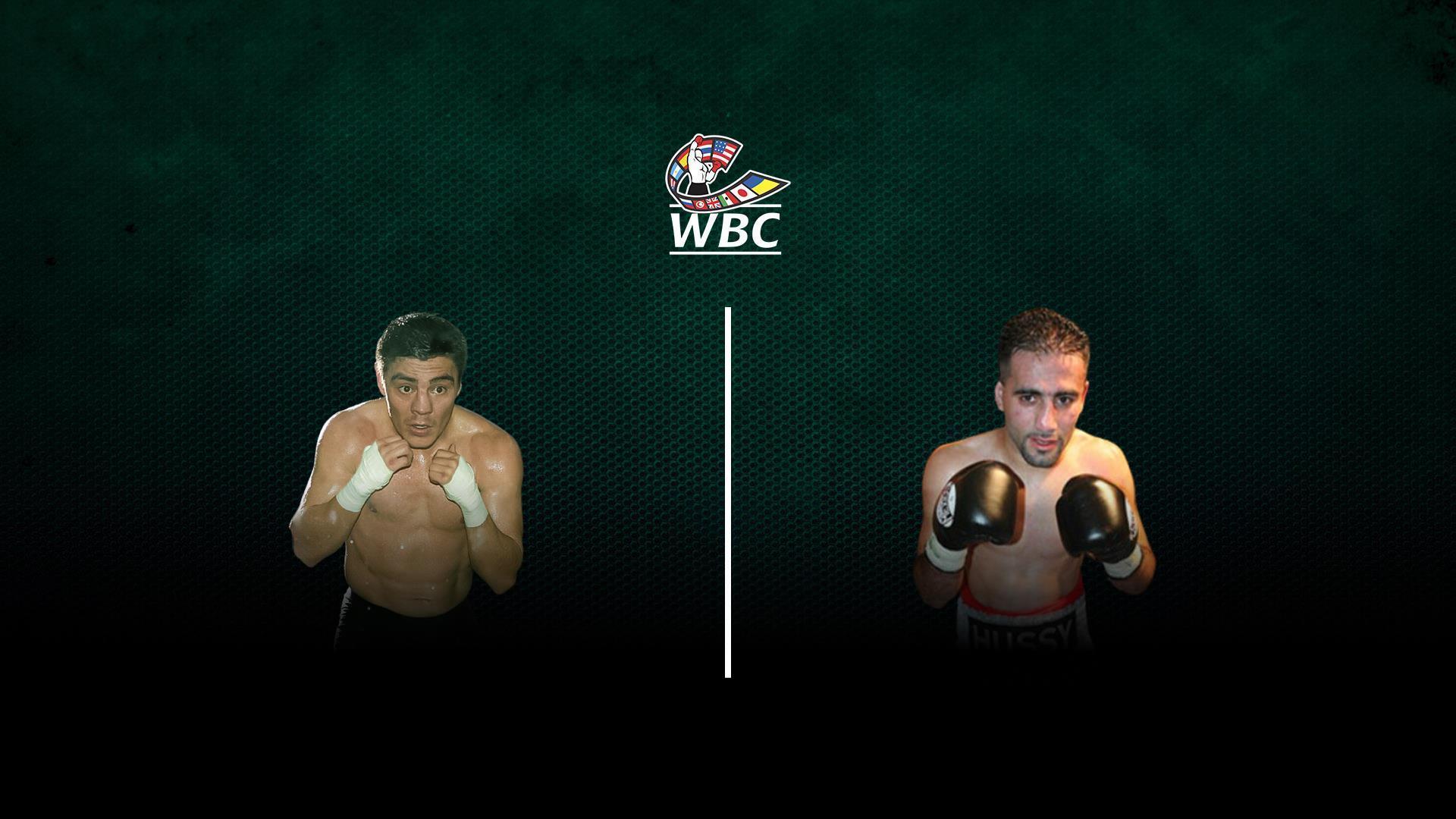 Отборочный поединок за титул чемпиона мира по версии WBC в наилегчайшем весе Хорхе Арсе - Хуссейн Хуссейн (otborochnyj-poedinok-za-titul-chempiona-mira-po-versii-wbc-v-nailegchajshem-vese-horhe-arse-hussejn-hussejn) Спорт