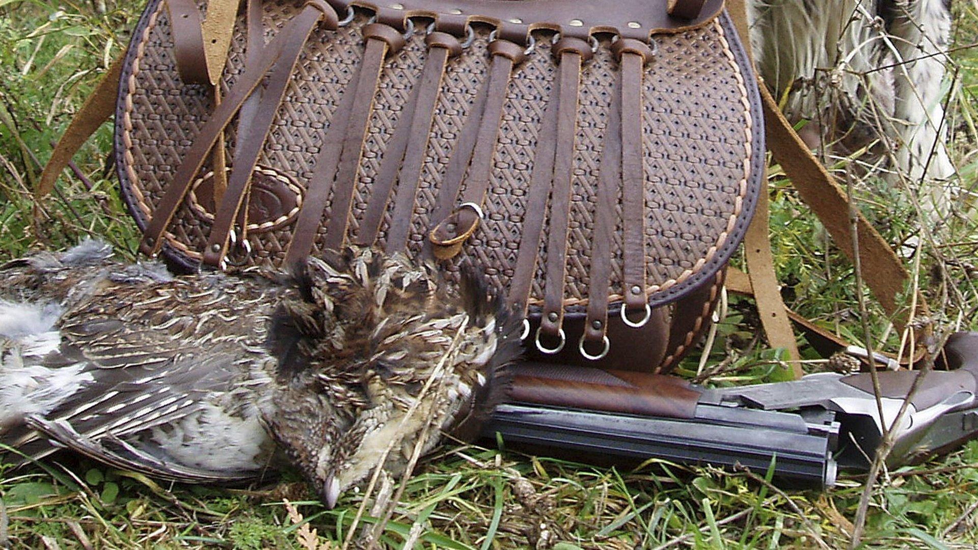 Охота по-фински (ohota-po-finski) Досуг, хобби