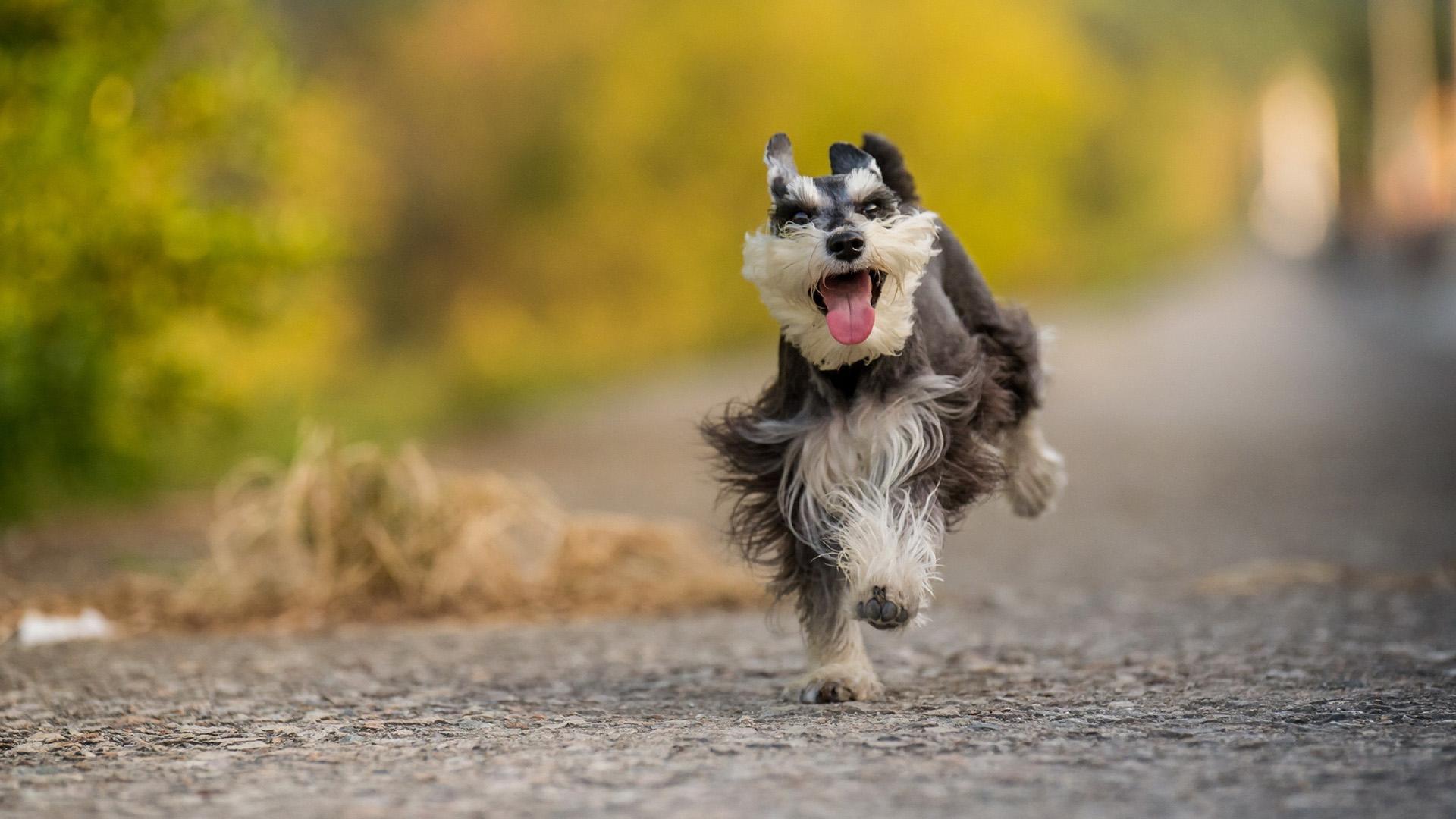 На старт! Внимание! Марш! (na-start-vnimanie-marsh) Досуг, хобби