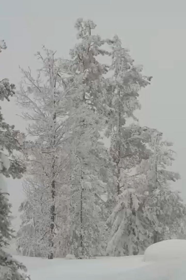 Гора Волосяная (gora-volosjanaja) Досуг, хобби
