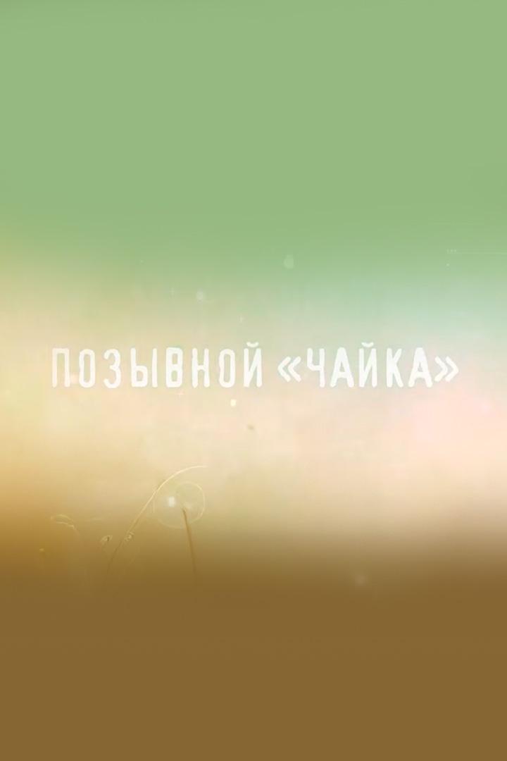 Позывной «Чайка» (pozyvnoj-chajka) Документальный фильм