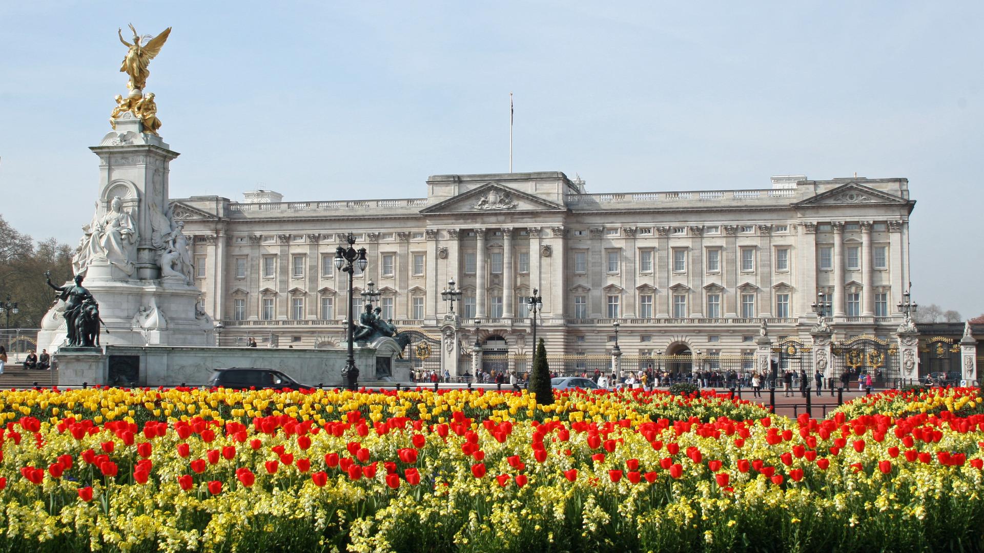 Сад Королевы (sad-korolevy) Познавательное