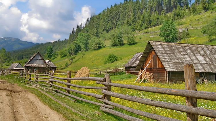 Постер Сельская жизнь