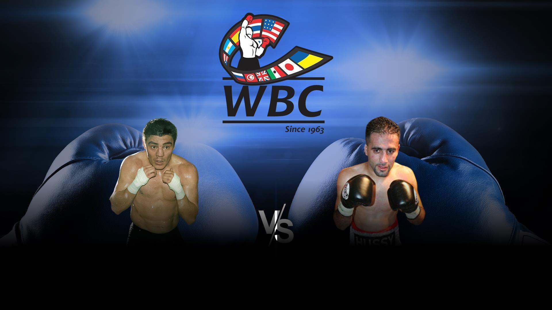 Отборочный бой за титул WBC в наилегчайшем весе. Хорхе Арсе - Хуссейн Хуссейн (otborochnyj-boj-za-titul-wbc-v-nailegchajshem-vese-horhe-arse-hussejn-hussejn) Спорт