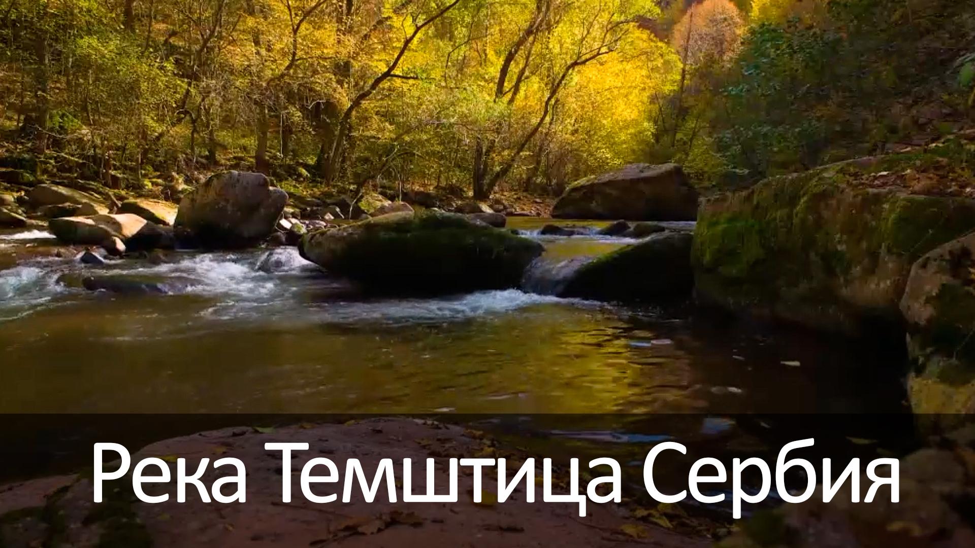 Река Темштица Сербия (reka-temshtitsa-serbija) Досуг, хобби
