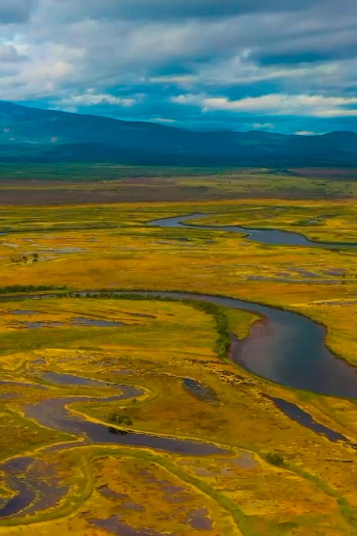 Дельта реки Авача Камчатка (delta-reki-avacha-kamchatka) Досуг, хобби