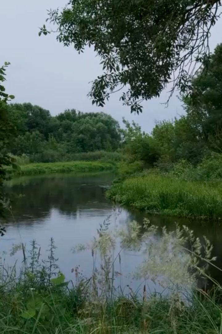 Река Щара Беларусь (reka-schara-belarus) Досуг, хобби