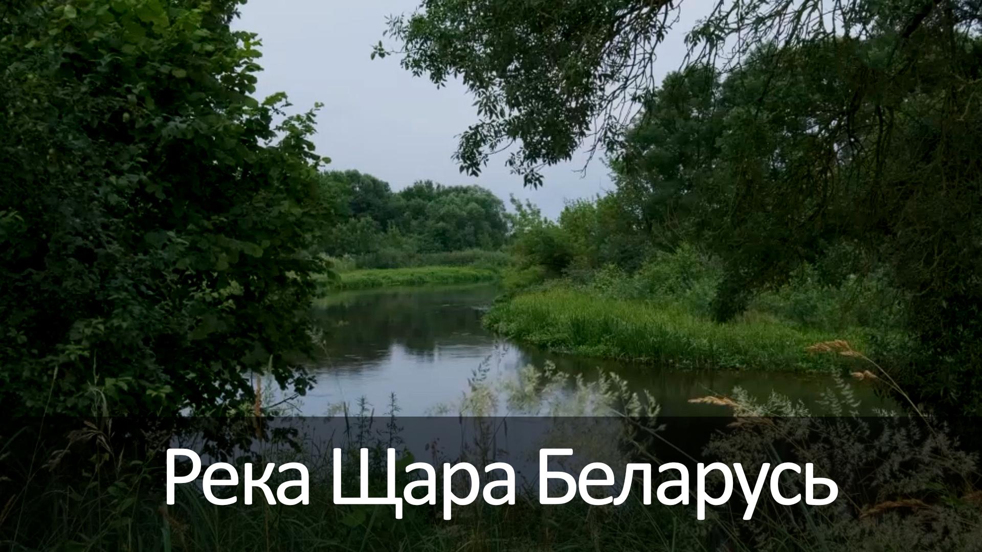 Река Щара Беларусь (reka-schara-belarus) Досуг, хобби