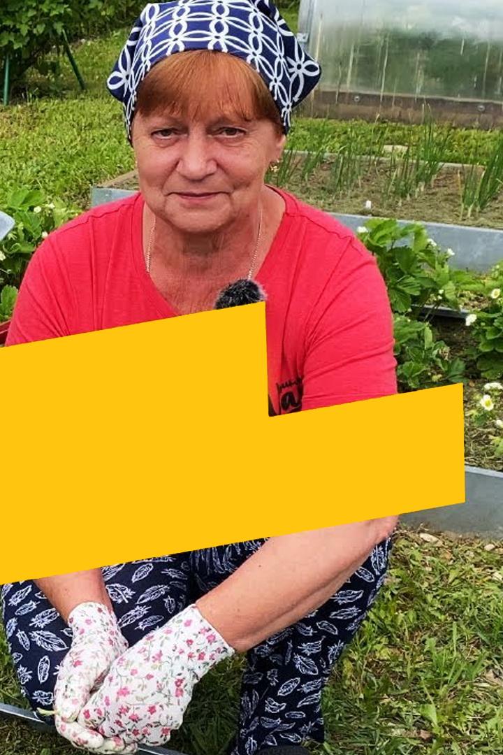 Подкормка клубники во время цветения (podkormka-klubniki-vo-vremja-tsvetenija) Досуг, хобби