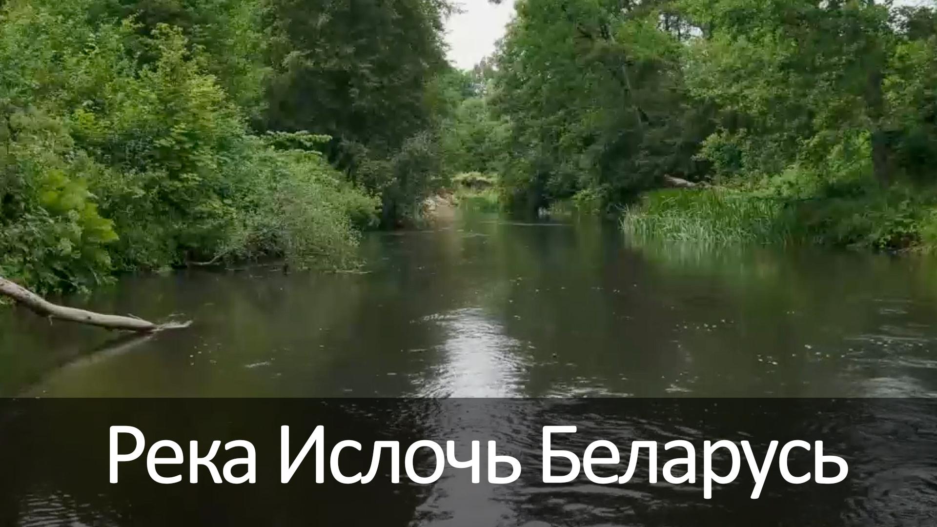 Река Ислочь Беларусь (reka-isloch-belarus) Досуг, хобби