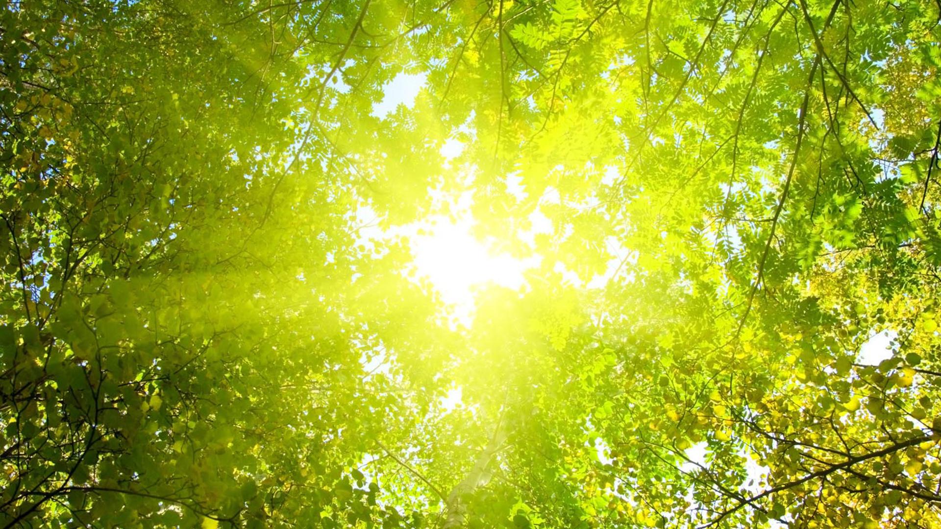 Самый лучший день (samyj-luchshij-den) Досуг, хобби