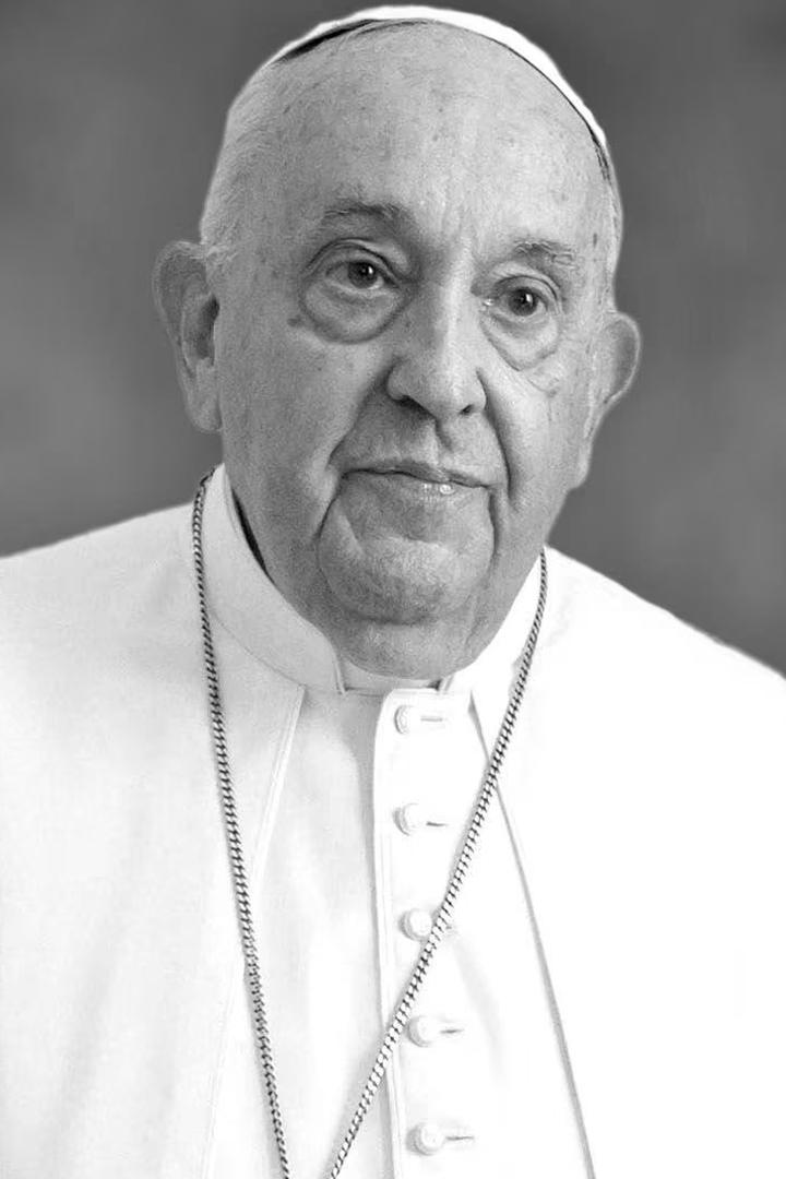 Die Welt nimmt Abschied von Papst Franziskus: Requiem und Beerdigung in Rom (die-welt-nimmt-abschied-von-papst-franziskus-requiem-und-beerdigung-in-rom) Документальный сериал