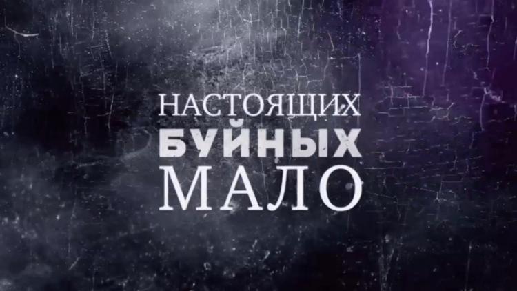 Постер Настоящих буйных мало