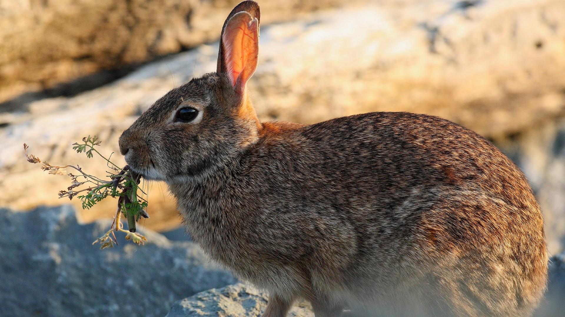 Поздняя осень (pozdnjaja-osen) Досуг, хобби