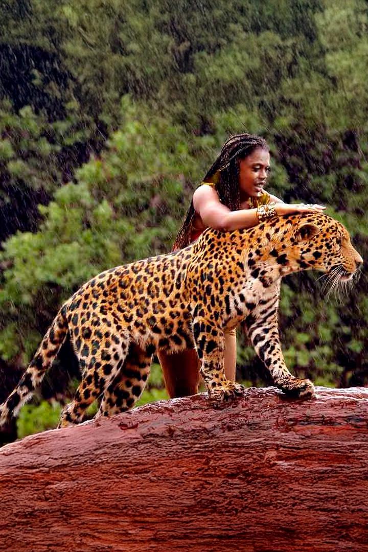 The Jaguar - Guyana's Majestic National Animal (the-jaguar-guyanas-majestic-national-animal) Документальный фильм