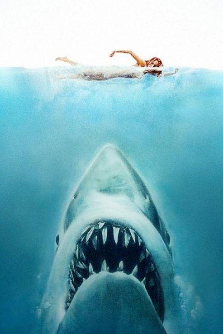 «Les dents de la mer», un succès monstre (les-dents-de-la-mer-un-succs-monstre) Документальный фильм