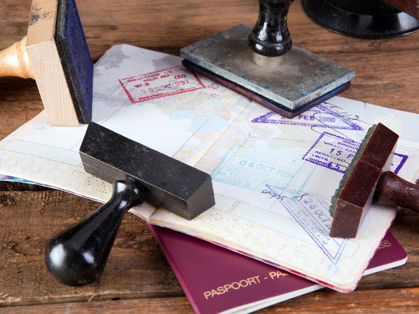 Осень без виз (osen-bez-viz) Познавательное